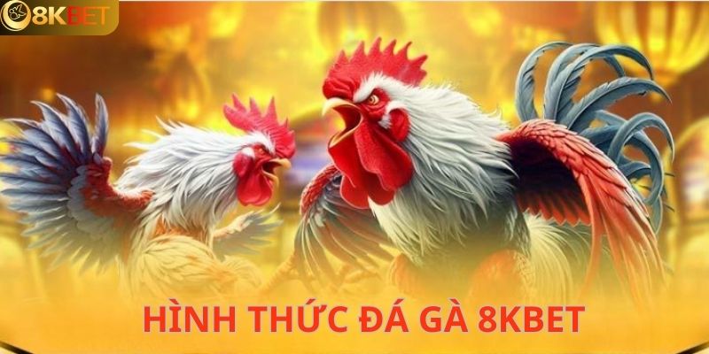 Hình thức đá gà 8KBET phổ biến tại sân chơi