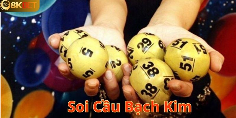 Soi Cầu Bạch Kim