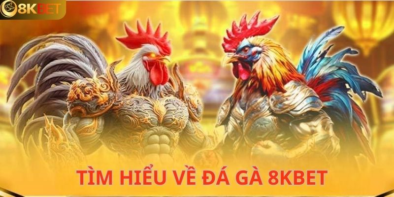 Sơ lược về sảnh giải trí hấp dẫn