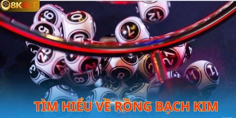 Khái niệm chi tiết về rồng bạch kim